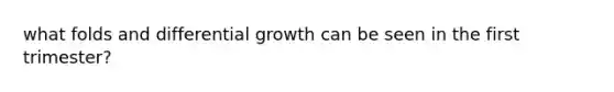 what folds and differential growth can be seen in the first trimester?