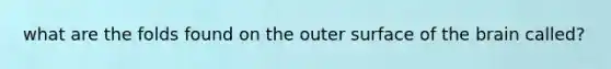 what are the folds found on the outer surface of the brain called?