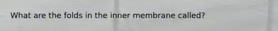 What are the folds in the inner membrane called?