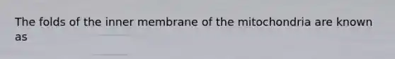 The folds of the inner membrane of the mitochondria are known as