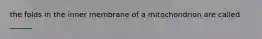 the folds in the inner membrane of a mitochondrion are called ______