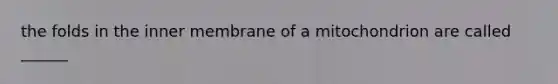 the folds in the inner membrane of a mitochondrion are called ______