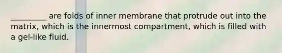 _________ are folds of inner membrane that protrude out into the matrix, which is the innermost compartment, which is filled with a gel-like fluid.