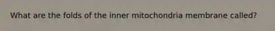 What are the folds of the inner mitochondria membrane called?