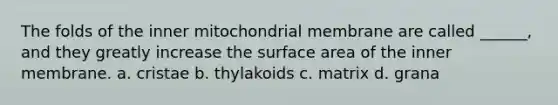 The folds of the inner mitochondrial membrane are called ______, and they greatly increase the surface area of the inner membrane. a. cristae b. thylakoids c. matrix d. grana