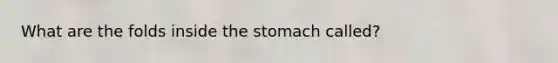 What are the folds inside <a href='https://www.questionai.com/knowledge/kLccSGjkt8-the-stomach' class='anchor-knowledge'>the stomach</a> called?