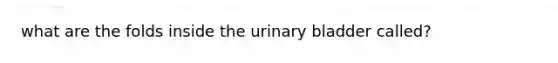 what are the folds inside the urinary bladder called?