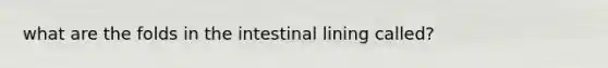 what are the folds in the intestinal lining called?