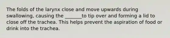 The folds of the larynx close and move upwards during swallowing, causing the _______to tip over and forming a lid to close off the trachea. This helps prevent the aspiration of food or drink into the trachea.