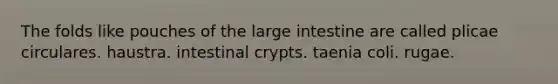 The folds like pouches of the large intestine are called plicae circulares. haustra. intestinal crypts. taenia coli. rugae.