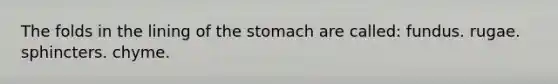 The folds in the lining of the stomach are called: fundus. rugae. sphincters. chyme.