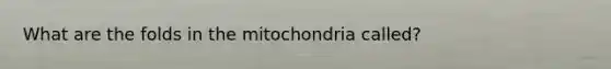 What are the folds in the mitochondria called?