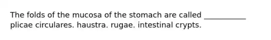 The folds of the mucosa of the stomach are called ___________ plicae circulares. haustra. rugae. intestinal crypts.