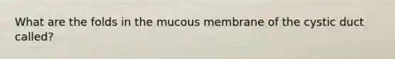 What are the folds in the mucous membrane of the cystic duct called?