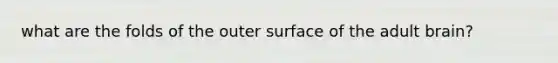 what are the folds of the outer surface of the adult brain?