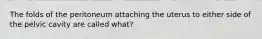 The folds of the peritoneum attaching the uterus to either side of the pelvic cavity are called what?