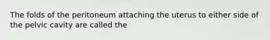 The folds of the peritoneum attaching the uterus to either side of the pelvic cavity are called the