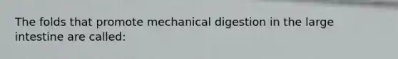 The folds that promote mechanical digestion in the large intestine are called: