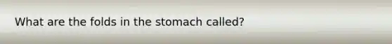 What are the folds in <a href='https://www.questionai.com/knowledge/kLccSGjkt8-the-stomach' class='anchor-knowledge'>the stomach</a> called?