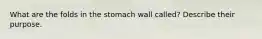 What are the folds in the stomach wall called? Describe their purpose.