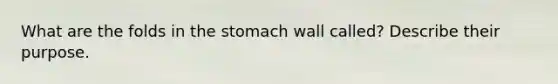 What are the folds in the stomach wall called? Describe their purpose.