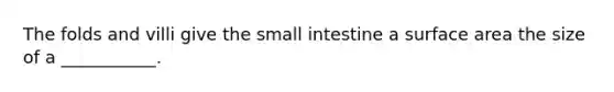 The folds and villi give the small intestine a surface area the size of a ___________.