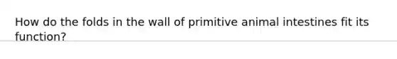 How do the folds in the wall of primitive animal intestines fit its function?