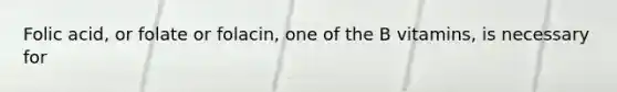 Folic acid, or folate or folacin, one of the B vitamins, is necessary for