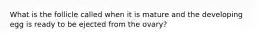 What is the follicle called when it is mature and the developing egg is ready to be ejected from the ovary?