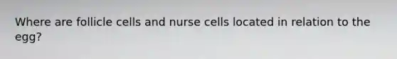 Where are follicle cells and nurse cells located in relation to the egg?