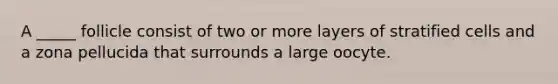 A _____ follicle consist of two or more layers of stratified cells and a zona pellucida that surrounds a large oocyte.