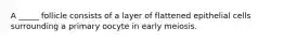 A _____ follicle consists of a layer of flattened epithelial cells surrounding a primary oocyte in early meiosis.