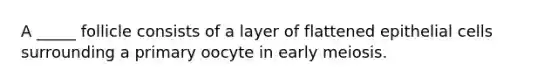 A _____ follicle consists of a layer of flattened epithelial cells surrounding a primary oocyte in early meiosis.