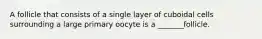 A follicle that consists of a single layer of cuboidal cells surrounding a large primary oocyte is a _______follicle.