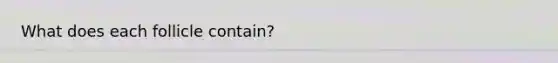 What does each follicle contain?