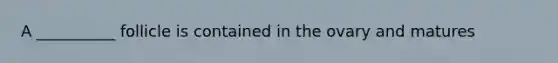 A __________ follicle is contained in the ovary and matures