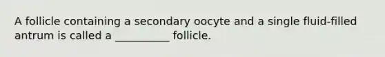 A follicle containing a secondary oocyte and a single fluid-filled antrum is called a __________ follicle.