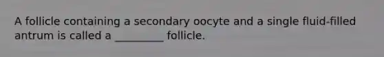 A follicle containing a secondary oocyte and a single fluid-filled antrum is called a _________ follicle.