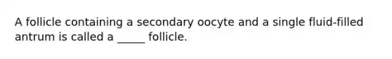 A follicle containing a secondary oocyte and a single fluid-filled antrum is called a _____ follicle.