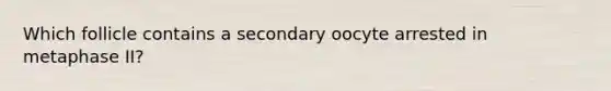 Which follicle contains a secondary oocyte arrested in metaphase II?