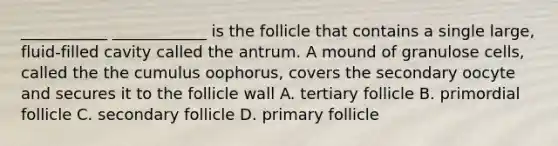 ___________ ____________ is the follicle that contains a single large, fluid-filled cavity called the antrum. A mound of granulose cells, called the the cumulus oophorus, covers the secondary oocyte and secures it to the follicle wall A. tertiary follicle B. primordial follicle C. secondary follicle D. primary follicle