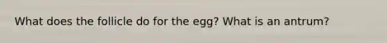 What does the follicle do for the egg? What is an antrum?