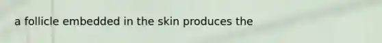 a follicle embedded in the skin produces the