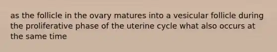 as the follicle in the ovary matures into a vesicular follicle during the proliferative phase of the uterine cycle what also occurs at the same time