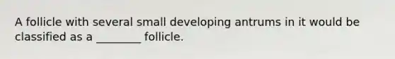 A follicle with several small developing antrums in it would be classified as a ________ follicle.