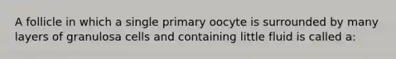 A follicle in which a single primary oocyte is surrounded by many layers of granulosa cells and containing little fluid is called a: