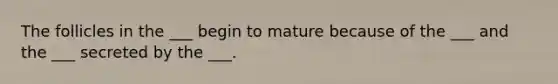 The follicles in the ___ begin to mature because of the ___ and the ___ secreted by the ___.