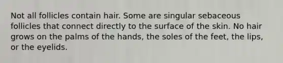 Not all follicles contain hair. Some are singular sebaceous follicles that connect directly to the surface of the skin. No hair grows on the palms of the hands, the soles of the feet, the lips, or the eyelids.