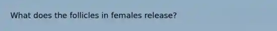 What does the follicles in females release?