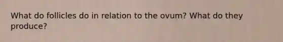 What do follicles do in relation to the ovum? What do they produce?